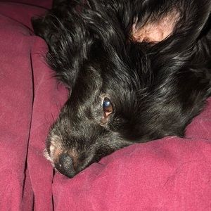 Meet your Posher, Connie